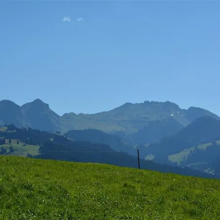 Anne - 1- Stock By Interhome Appartamento Schönried